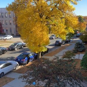 Meet your Posher, Adam